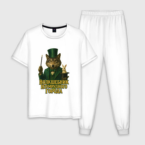 Мужская пижама Волшебник Изумрудного города / Белый – фото 1