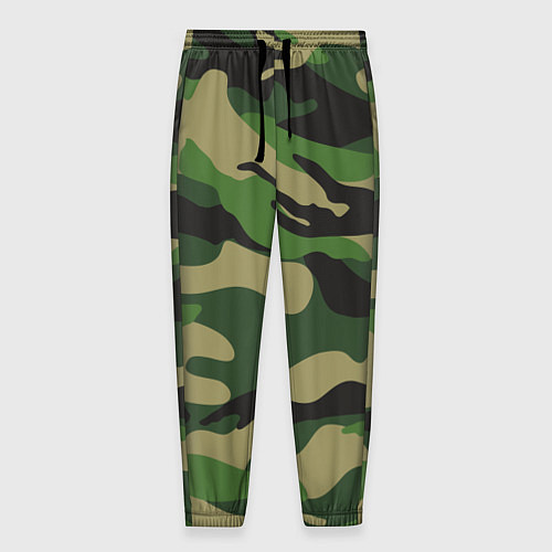 Мужские брюки Камуфляж: хаки/зеленый / 3D-принт – фото 1