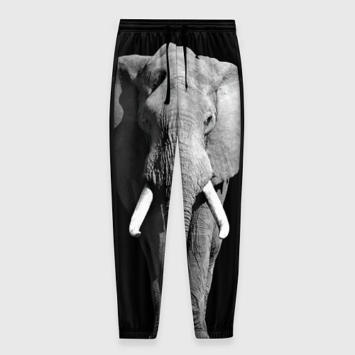Мужские брюки Старый слон / 3D-принт – фото 1