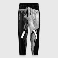 Мужские брюки Старый слон