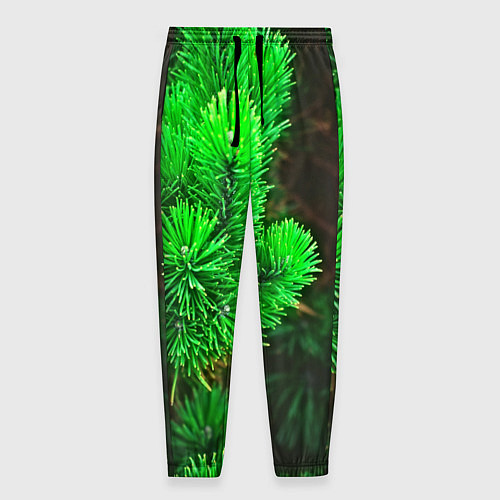 Мужские брюки Зелёная ель / 3D-принт – фото 1