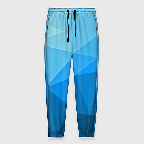 Мужские брюки Geometric blue / 3D-принт – фото 1
