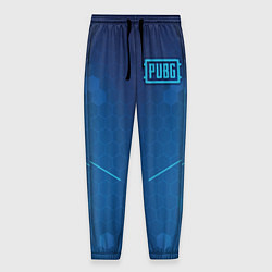 Мужские брюки PUBG: Blue Hexagons
