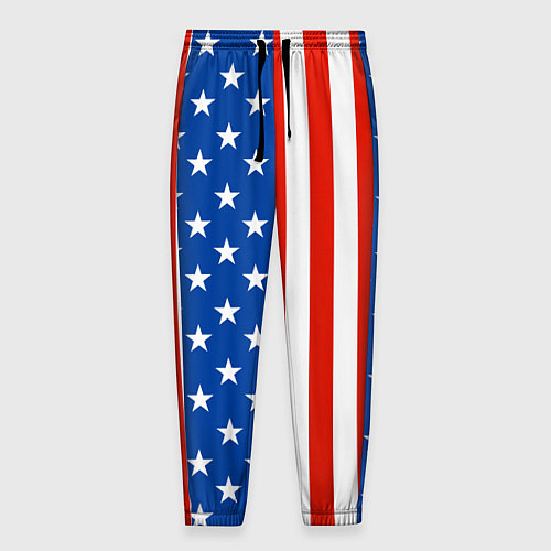 Мужские брюки American Patriot / 3D-принт – фото 1