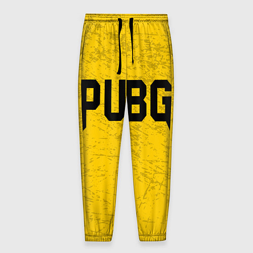 Мужские брюки PUBG: Quake Style / 3D-принт – фото 1
