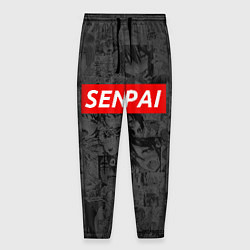 Мужские брюки SENPAI