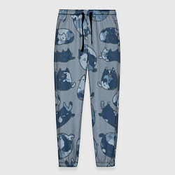 Мужские брюки Камуфляж с котиками серо-голубой