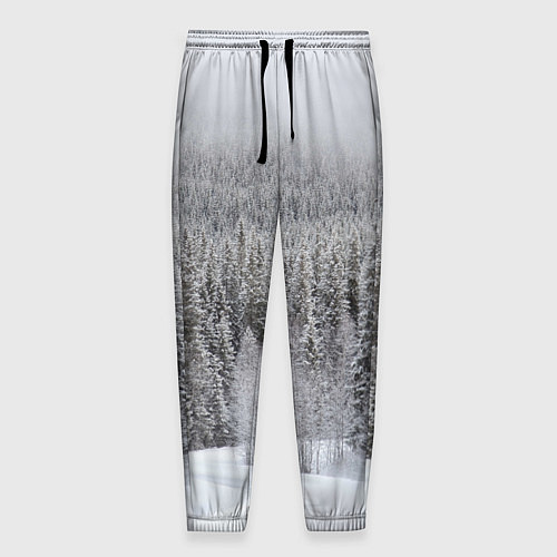 Мужские брюки Зимняя природа / 3D-принт – фото 1