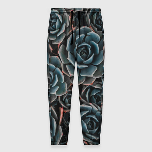 Мужские брюки Цветы Розы / 3D-принт – фото 1