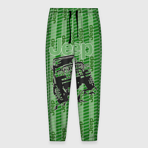Мужские брюки Jeep / 3D-принт – фото 1