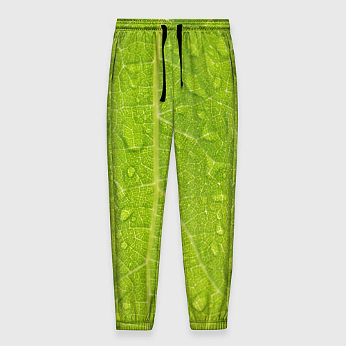 Мужские брюки Листок с росой / 3D-принт – фото 1