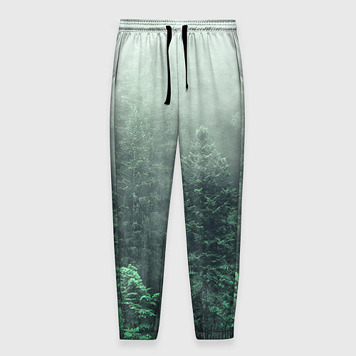 Мужские брюки Туманный лес / 3D-принт – фото 1