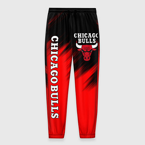 Мужские брюки CHICAGO BULLS / 3D-принт – фото 1