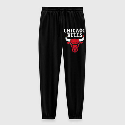 Мужские брюки CHICAGO BULLS / 3D-принт – фото 1