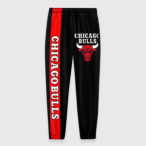 Мужские брюки CHICAGO BULLS / 3D-принт – фото 1