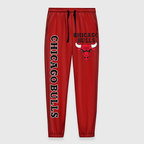 Мужские брюки CHICAGO BULLS / 3D-принт – фото 1