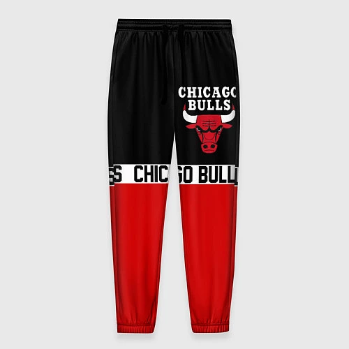 Мужские брюки CHICAGO BULLS / 3D-принт – фото 1