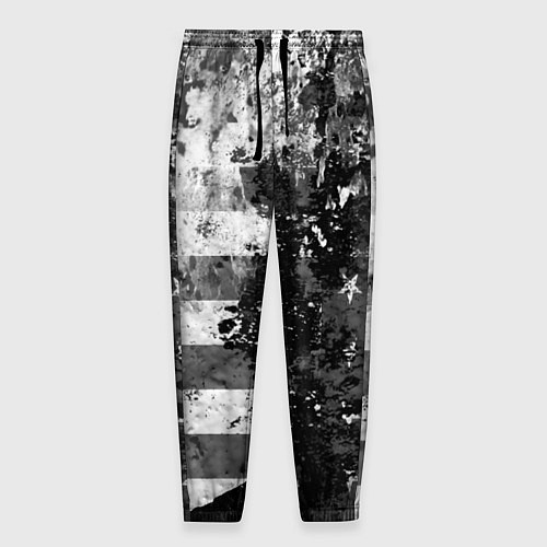 Мужские брюки США / 3D-принт – фото 1