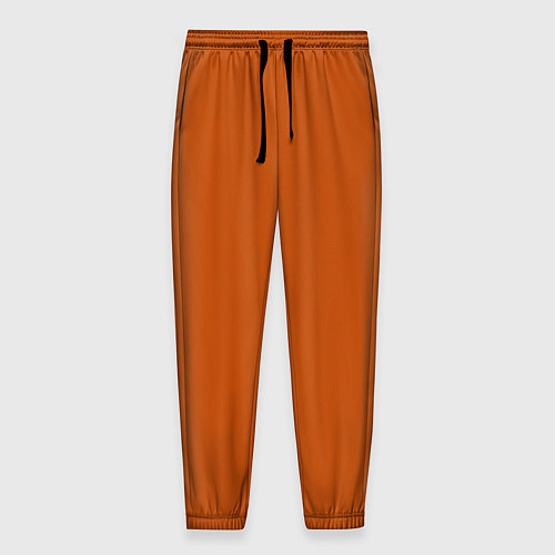 Мужские брюки Радуга v6 - оранжевый / 3D-принт – фото 1