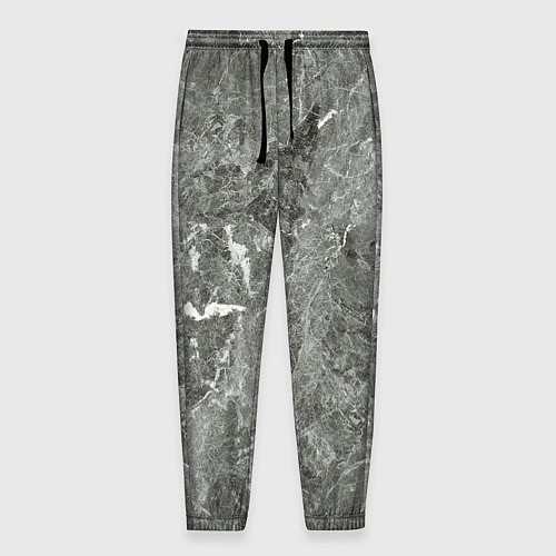 Мужские брюки Grey / 3D-принт – фото 1