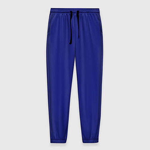 Мужские брюки Синий / 3D-принт – фото 1