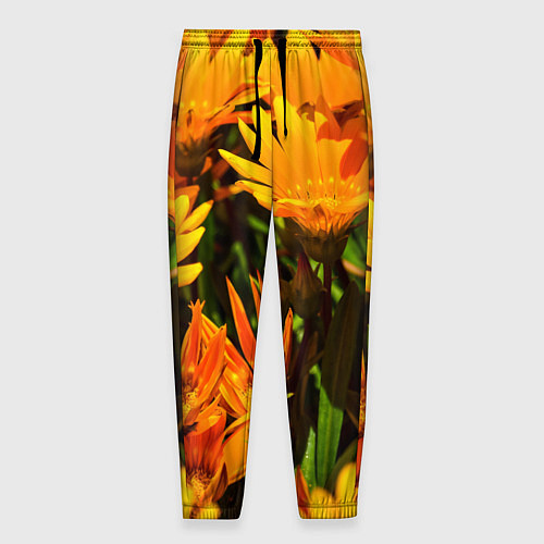 Мужские брюки Желтый цвет весны / 3D-принт – фото 1