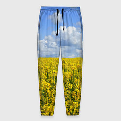 Мужские брюки Желтый цвет весны