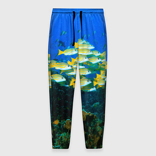 Мужские брюки Коралловые рыбки / 3D-принт – фото 1