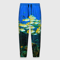 Мужские брюки Коралловые рыбки
