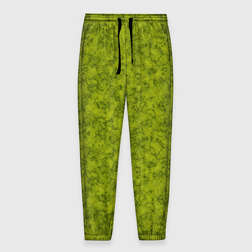 Мужские брюки Зеленый мраморный узор / 3D-принт – фото 1