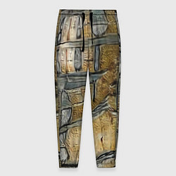 Мужские брюки Современное искусство