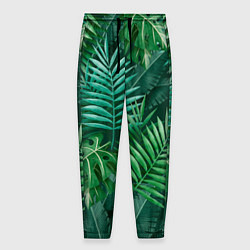 Брюки на резинке мужские Tropical plants pattern, цвет: 3D-принт