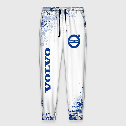 Мужские брюки Volvo - Auto sport / 3D-принт – фото 1