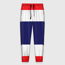 Брюки на резинке мужские Фрэнч-стайл, цвет: 3D-принт