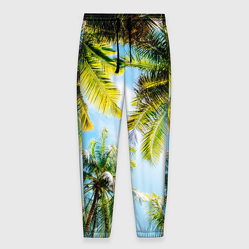 Мужские брюки Пальмы под солнцем / 3D-принт – фото 1