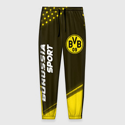 Мужские брюки БОРУССИЯ Borussia Sport Краска