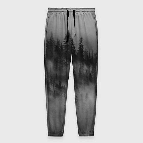 Мужские брюки Туманный лес - природа / 3D-принт – фото 1