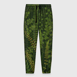 Мужские брюки Цветы Зеленые Папоротники