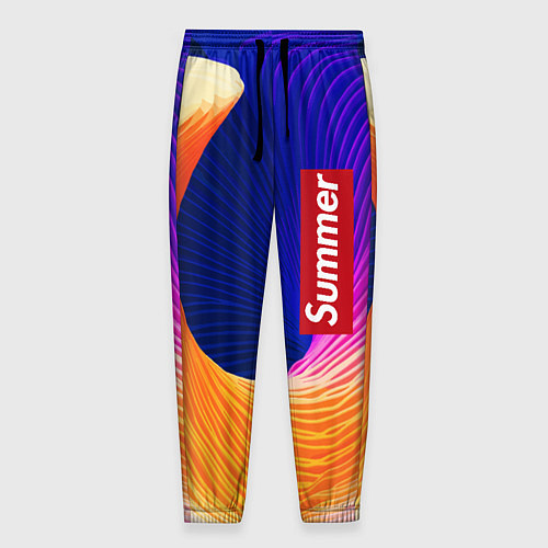 Мужские брюки Цветная волна Summer / 3D-принт – фото 1