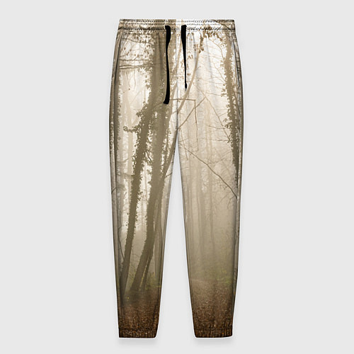 Мужские брюки Туманный лес на восходе / 3D-принт – фото 1