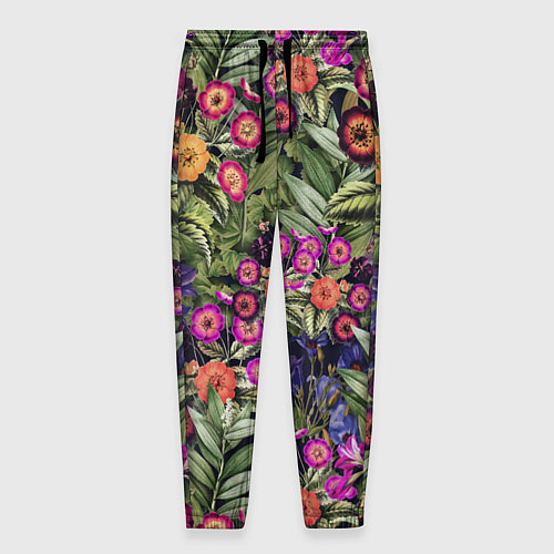 Мужские брюки Цветы Фиолетовые Рудбеки / 3D-принт – фото 1
