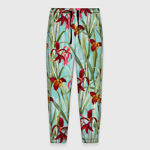 Мужские брюки Цветы Красные Тигридии / 3D-принт – фото 1