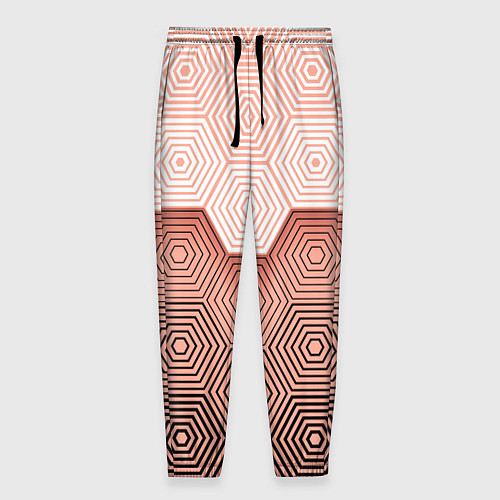 Мужские брюки Hexagon Minimal / 3D-принт – фото 1