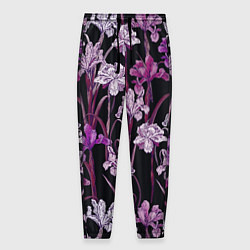 Мужские брюки Цветы Фиолетовые Ирисы