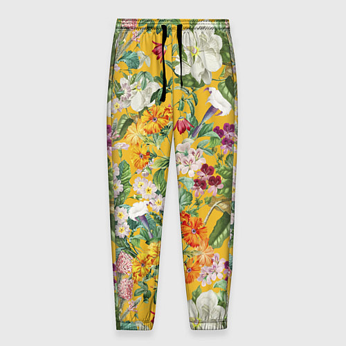 Мужские брюки Цветы Солнечное Лето / 3D-принт – фото 1