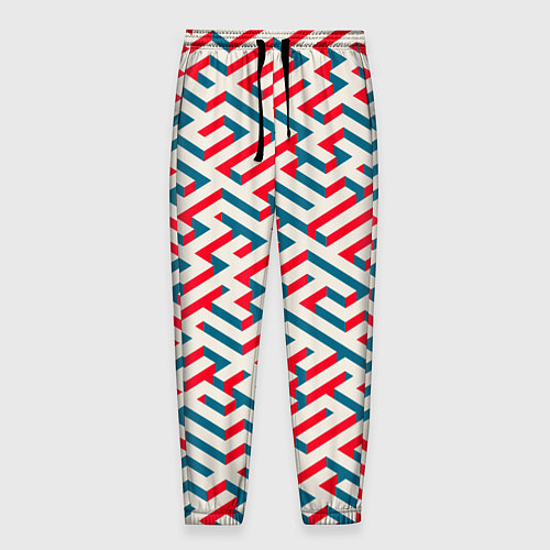 Мужские брюки Изометрический Лабиринт / 3D-принт – фото 1