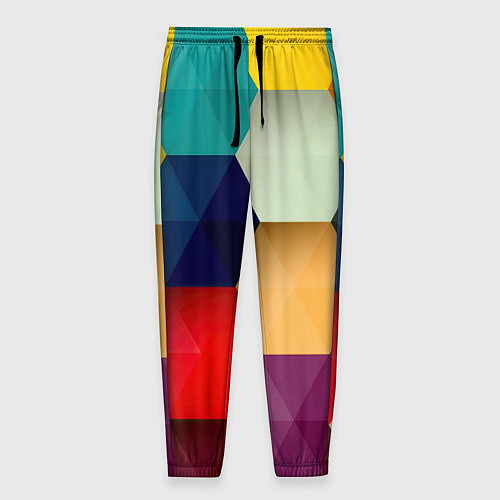 Мужские брюки Цветные соты / 3D-принт – фото 1
