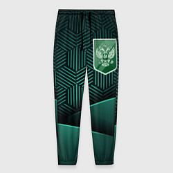 Мужские брюки Зеленый герб России