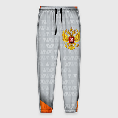 Мужские брюки Orange & silver Russia / 3D-принт – фото 1