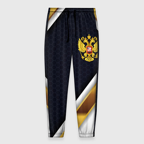 Мужские брюки Gold and white Russia / 3D-принт – фото 1